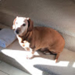 Meet your Posher, Jeff